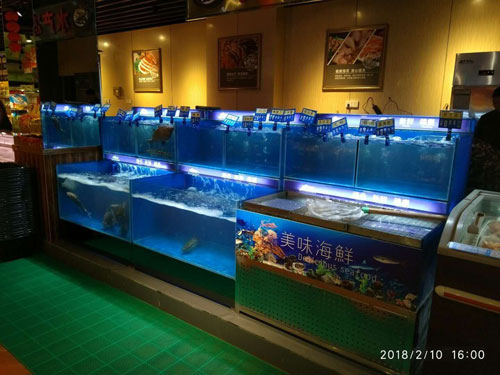 玻璃鱼缸定制重庆李鱼缸：你知道鱼缸与家居风水吗？